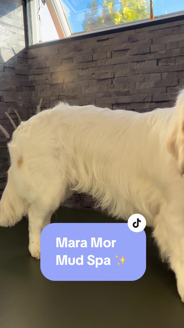 Madra Mór Coconut mud spa treatment